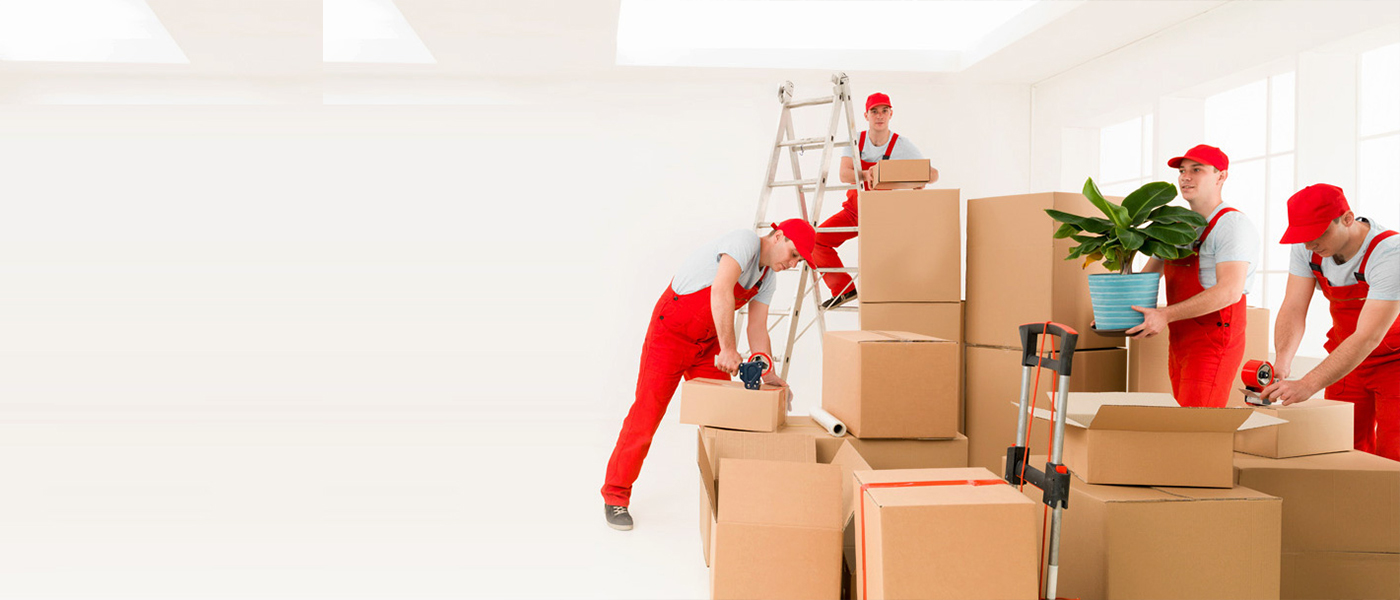 Erzurum Evden Eve Nakliyat